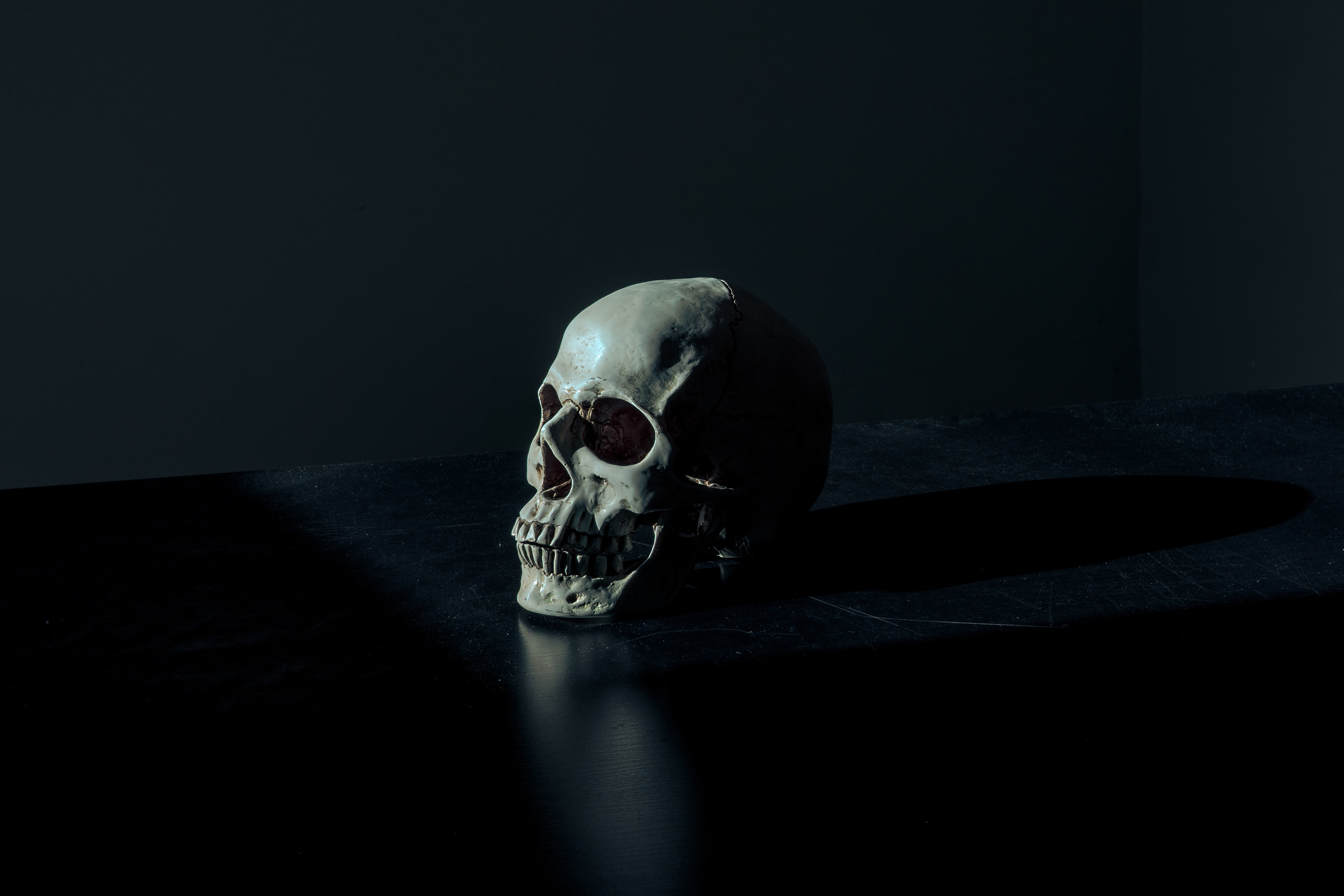 Creepy Skull in the Darkness